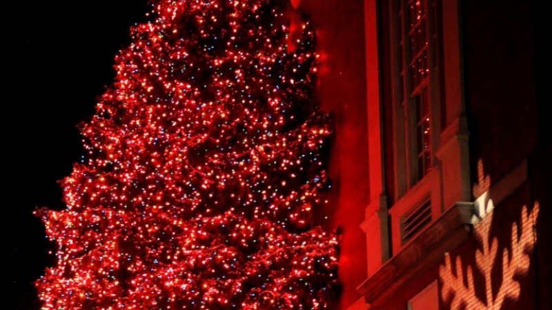 Macy's Holiday Tree Lighting (Downtown Macy's)