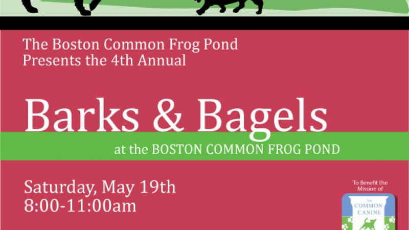 Barks & Bagels at The Boston Common Frog Pond
